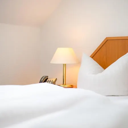 Trip Goethe Messe Frankfurt nad Mohanem