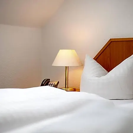 Otel Trip Goethe Messe Frankfurt 3*